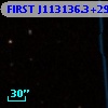 FIRST J113136.3+291827