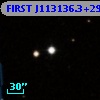 FIRST J113136.3+295811