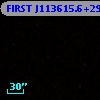 FIRST J113615.6+291934