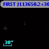 FIRST J113650.2+300555
