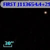 FIRST J113654.4+295023