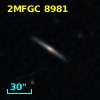 2MFGC 8981