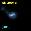 SN 2004gj