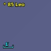 *  85 Leo