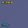 IC 2919