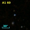 A1  60