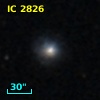 IC 2826