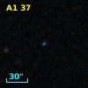 A1  37