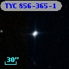 TYC  856-365-1