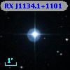 RX J1134.1+1101