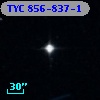 TYC  856-837-1