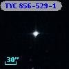 TYC  856-529-1