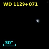 WD 1129+071