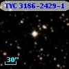 TYC 3186-2429-1