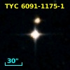 TYC 6091-1175-1
