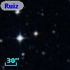 Ruiz 439-113