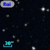 Ruiz 439-88