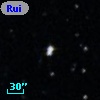 Ruiz 439-13