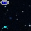 Ruiz 439-89