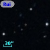 Ruiz 439-51