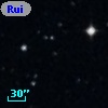 Ruiz 439-66
