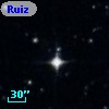 Ruiz 439-114