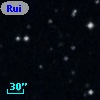 Ruiz 439-83