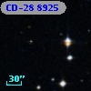 CD-28  8925