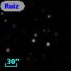 Ruiz 439-205