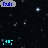 Ruiz 439-151