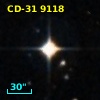 CD-31  9118