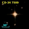 CD-34  7509