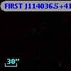 FIRST J114036.5+412924