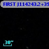 FIRST J114243.2+395622