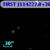 FIRST J114227.0+365419