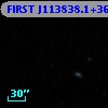 FIRST J113838.1+362506
