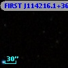 FIRST J114216.1+360329