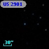 US 2901