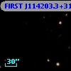 FIRST J114203.3+311858