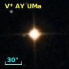 V* AY UMa