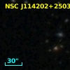 NSC J114202+250326