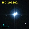 HD 101302