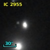 IC 2955