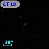 LT 19