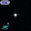 TYC  863-481-1