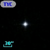 TYC 1441-2309-1