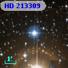 HD 213309