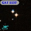 GAT 1137