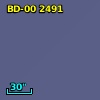 BD-00  2491