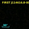 TXS 1143-000